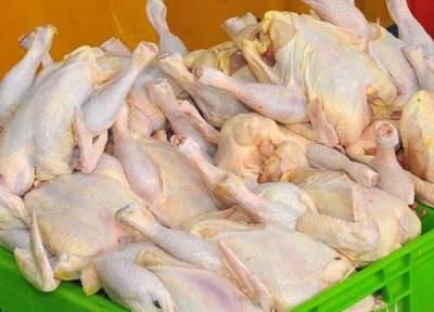 وزارت جهاد کشاورزی و صنعت مکلف به کنترل قیمت مرغ شدند