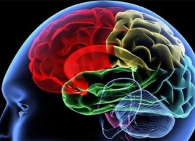 8 افسانه عامه پسند درباره مغز