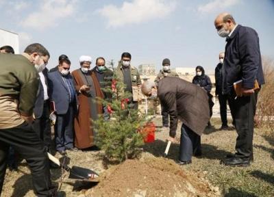 آئین نکوداشت هفته منابع طبیعی و روز درختکاری در دانشگاه تبریز برگزار گشت