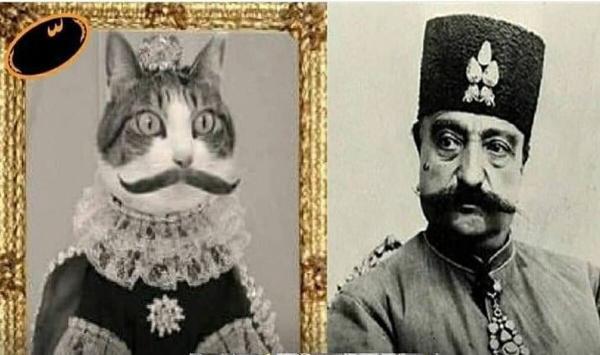 مشهورترین گربه تهران متعلق به چه کسی بود؟
