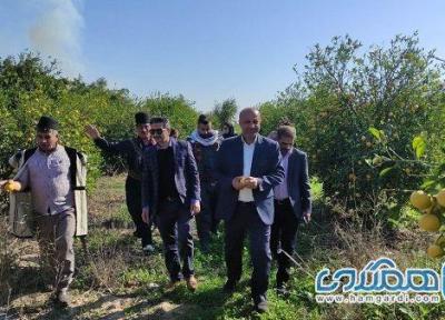 دومین مزرعه گردشگری کشاورزی استان خوزستان در شهرستان اندیمشک افتتاح شد