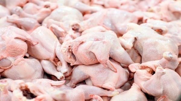 اتحادیه: فروش مرغ بالاتر از کیلویی 63 هزار تومان تخلف است، مرغداران قیمت مصوب را رعایت نمی کنند