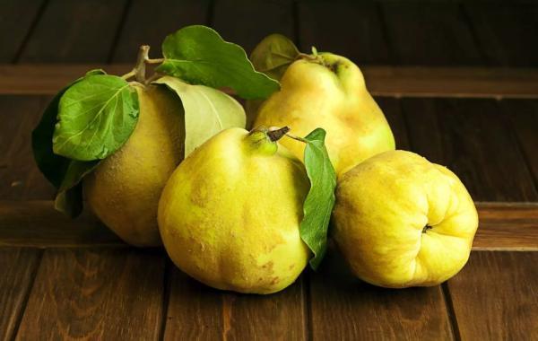 6 خاصیت فوق العاده میوه به برای سلامتی بدن و پوست